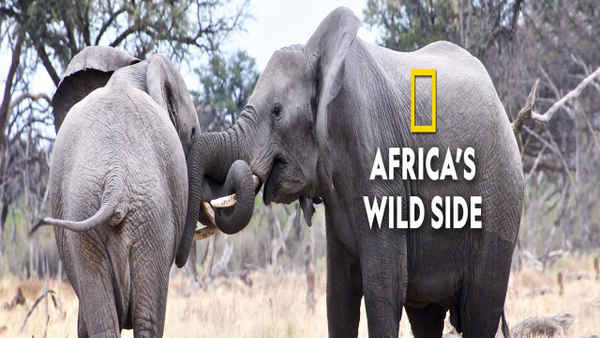 Africa's Wild Side Poster 6