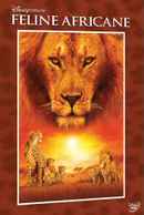 African Cats Poster 4