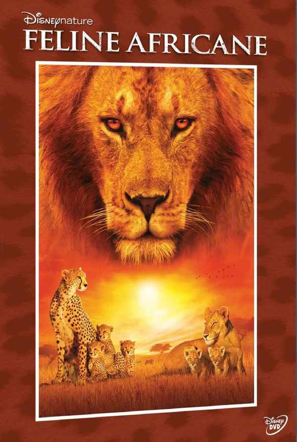 African Cats Poster 4