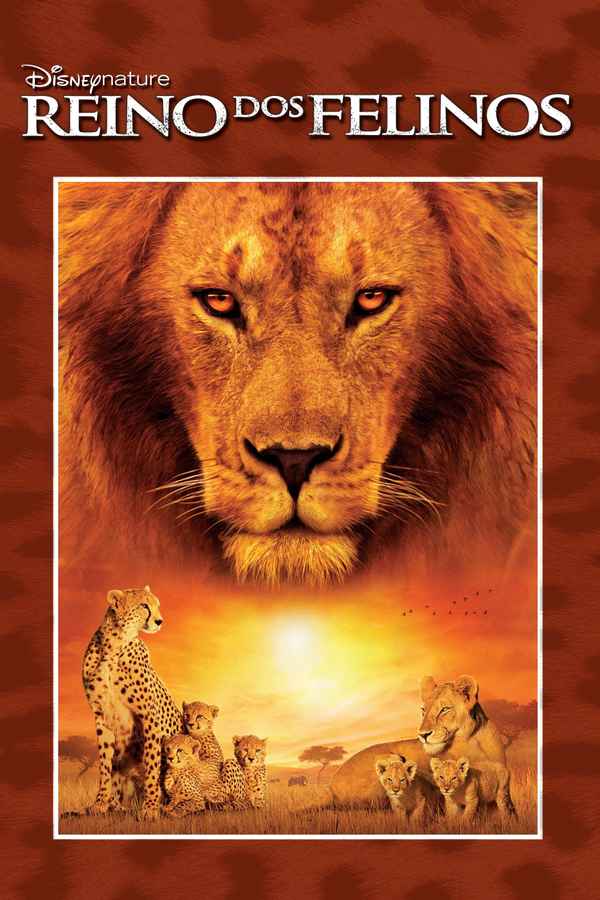 African Cats Poster 3