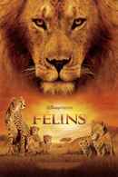 African Cats Poster 2