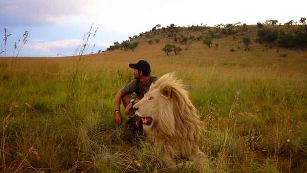 African Safari Poster 1