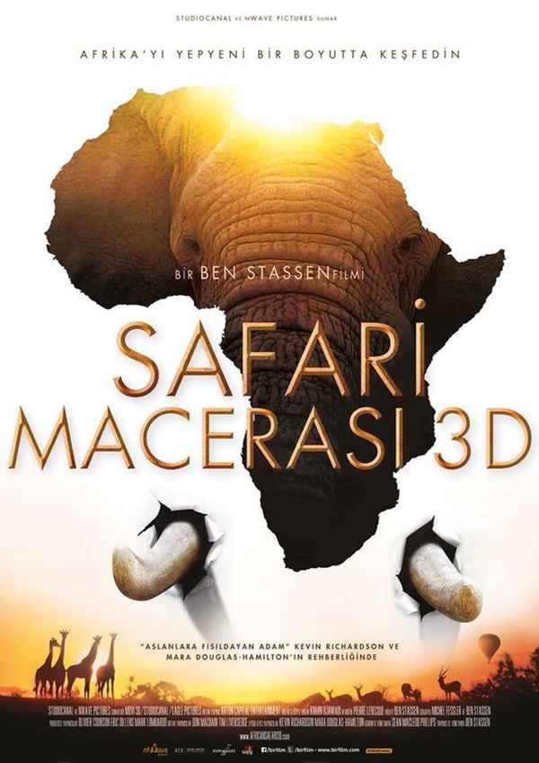 African Safari Poster 6