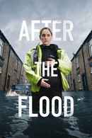 After the Flood Poster 2