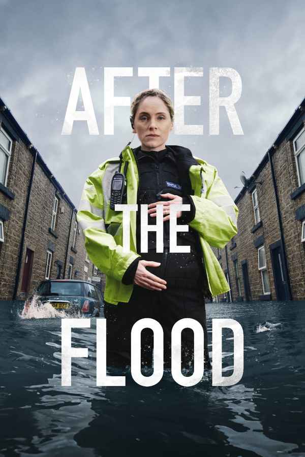 After the Flood Poster 2