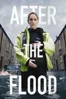After the Flood Poster 3