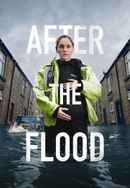 After the Flood Poster 4
