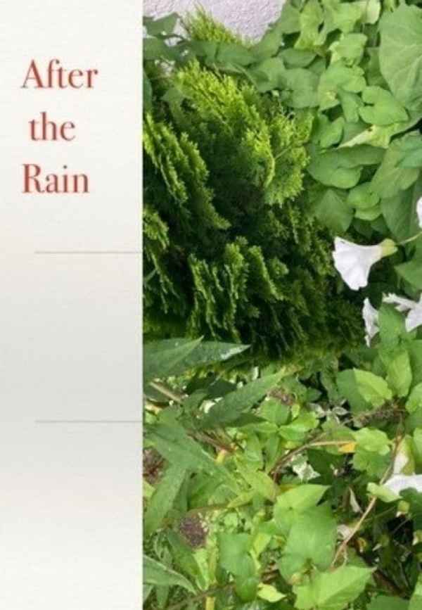 After the Rain Poster 5