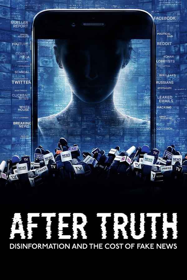 After Truth: Disinformation and the Cost of Fake News Poster 5