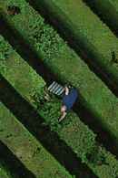 After Work - The End of Labor Poster 4