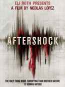 Aftershock Poster 2
