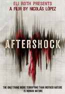 Aftershock Poster 7
