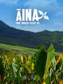 AINA Poster 1