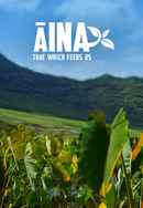 AINA Poster 6