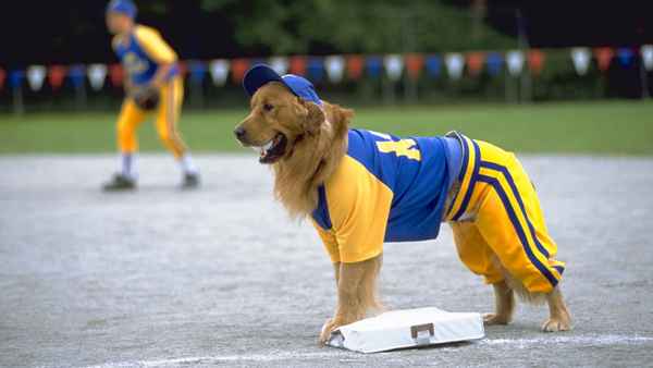 Air Bud: Seventh Inning Fetch Poster 2