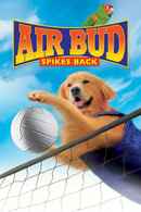 Air Bud: Spikes Back Poster 1