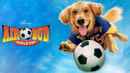 Air Bud: World Pup Poster 5