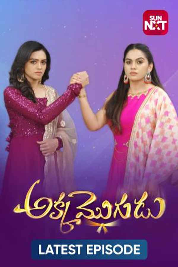 Akka Mogudu Poster 4