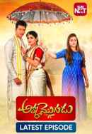 Akka Mogudu Poster 2