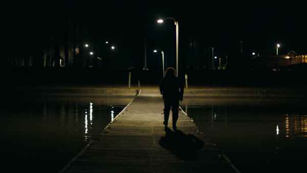 Alabama Snake Poster 7