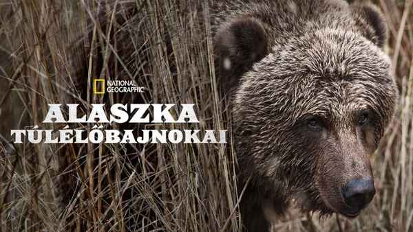 Alaska's Grizzly Gauntlet Poster 3