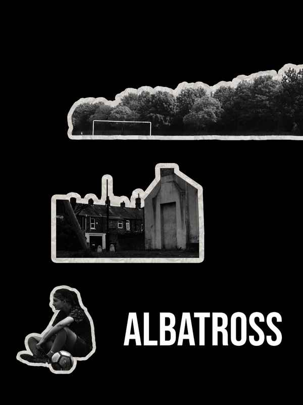 Albatross Poster 4