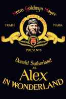 Alex in Wonderland Poster 2