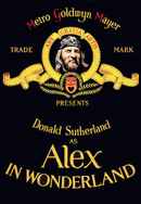 Alex in Wonderland Poster 4