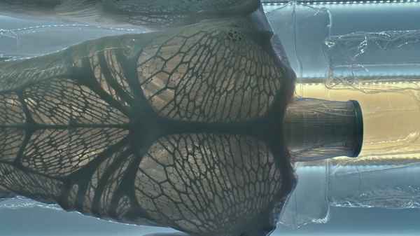 Alien: Covenant - Prologue: Meet Walter Poster 2