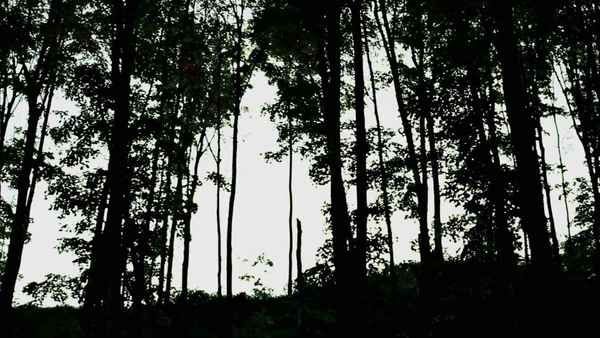 Alien Implant Poster 1