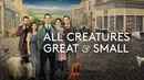 All Creatures Great & Small Poster 3