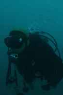 All of Our Heartbeats Are Connected Through Exploding Stars Poster 3