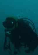 All of Our Heartbeats Are Connected Through Exploding Stars Poster 5