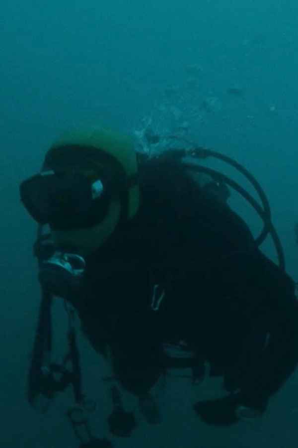 All of Our Heartbeats Are Connected Through Exploding Stars Poster 4