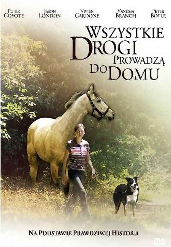 All Roads Lead Home Poster 4