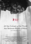 All the Colours of the World Are Between Black and White Poster 6