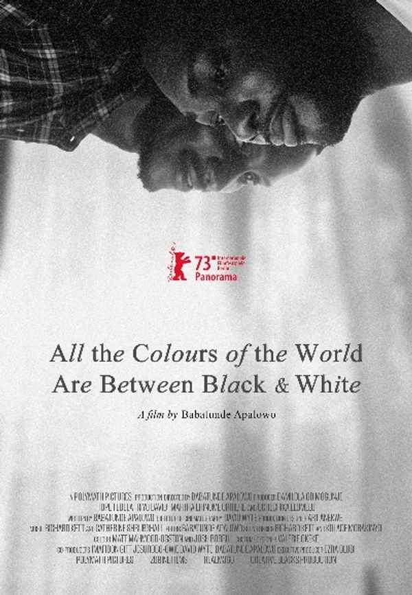 All the Colours of the World Are Between Black and White Poster 6