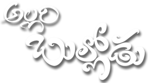 Allari Bullodu Poster 5