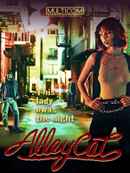 Alley Cat Poster 6