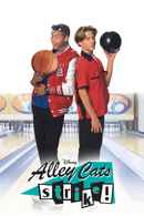 Alley Cats Strike Poster 4
