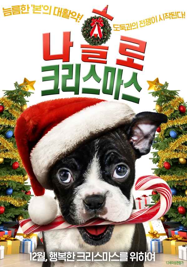 Alone for Christmas Poster 3