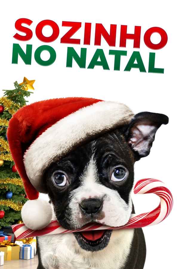 Alone for Christmas Poster 1