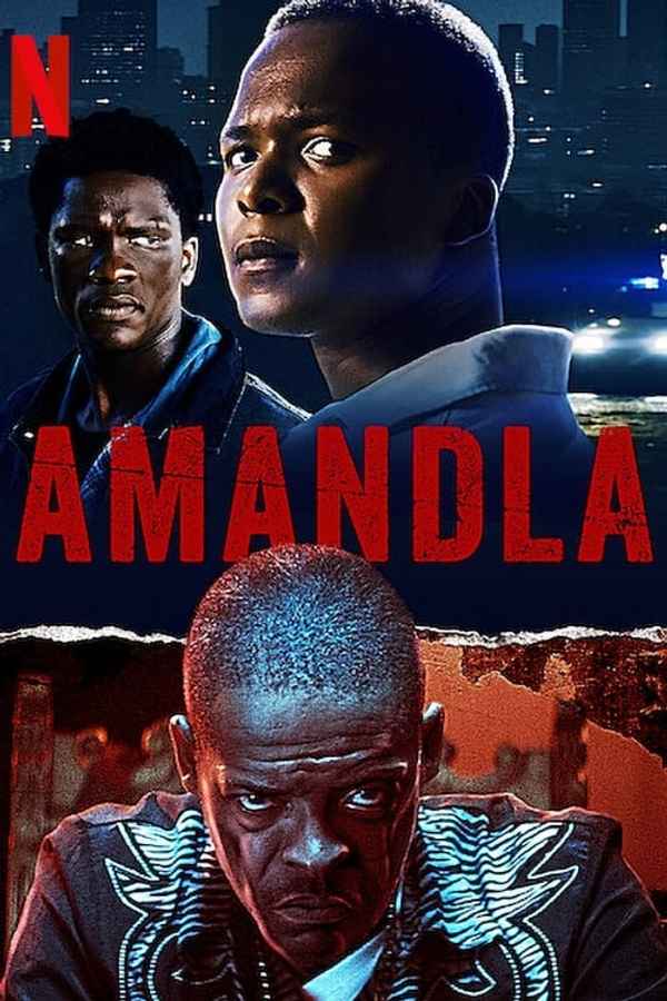 Amandla Poster 7