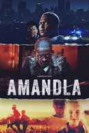 Amandla Poster 6