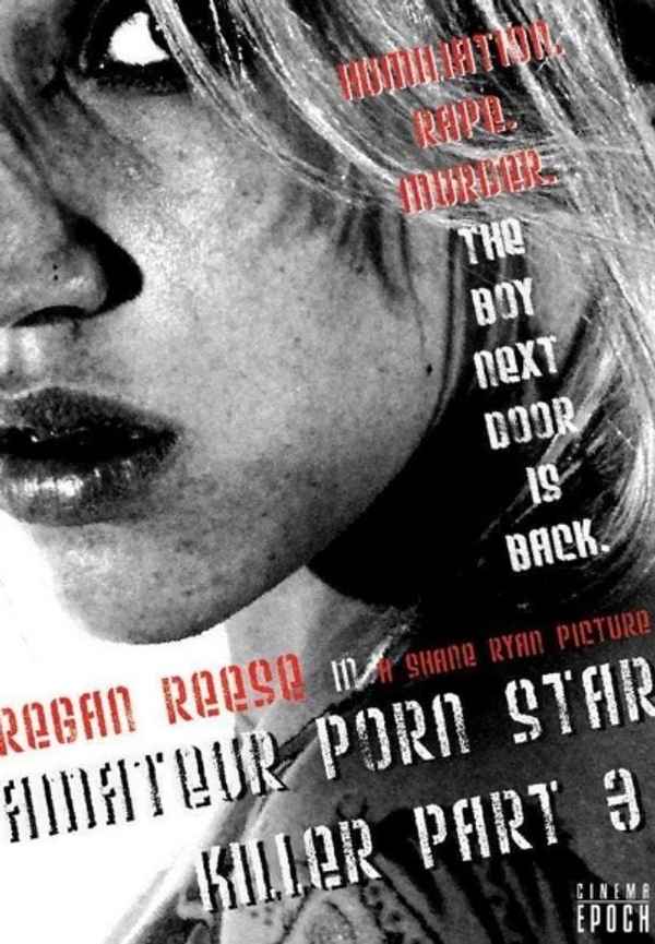 Amateur Porn Star Killer 3: The Final Chapter Poster 4