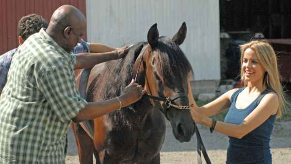Amazing Racer Poster 1