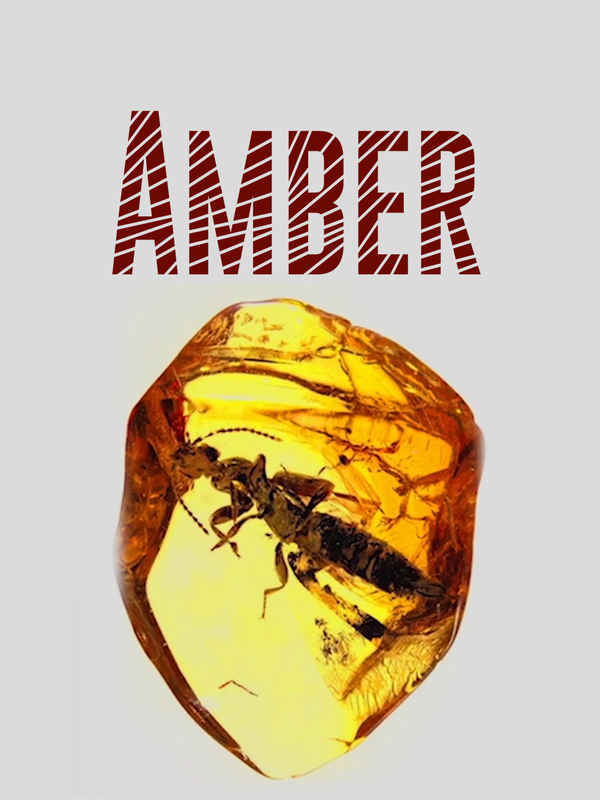 Amber Poster 1