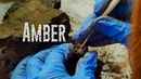 Amber Poster 7