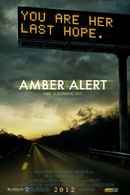Amber Alert Poster 2