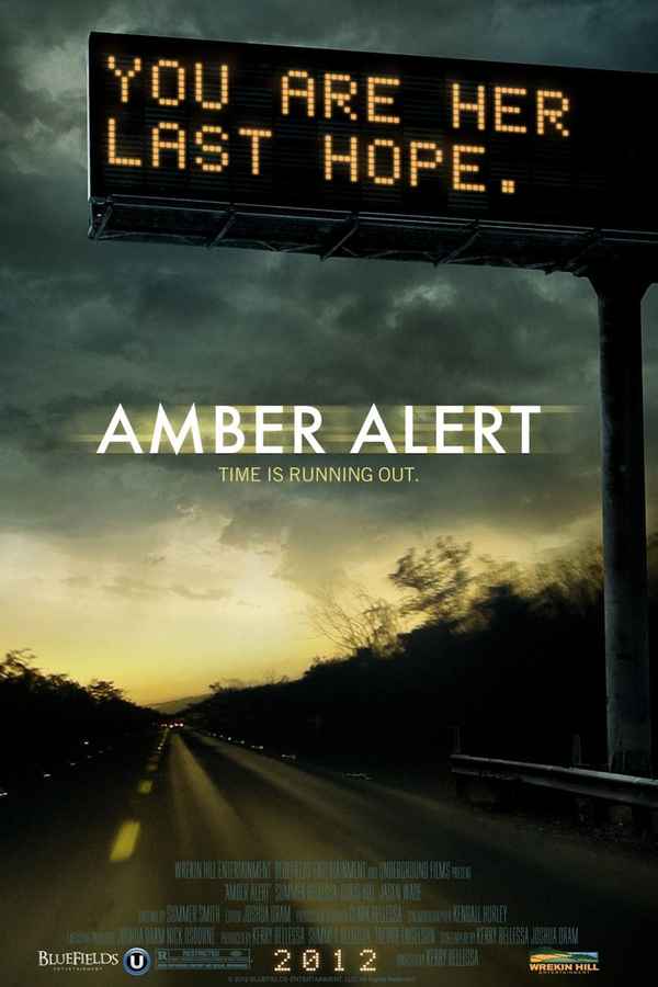 Amber Alert Poster 2